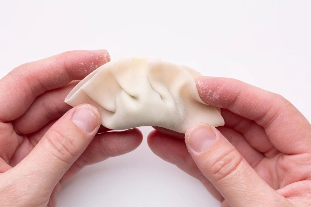 Step-by-Step Process: How to Make Dumpling Wrappers from Scratch?