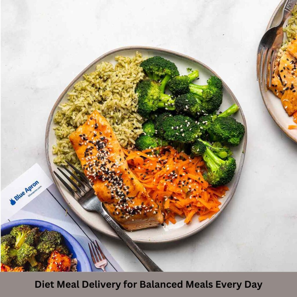 Diet Meal Delivery for Balanced Meals Every Day